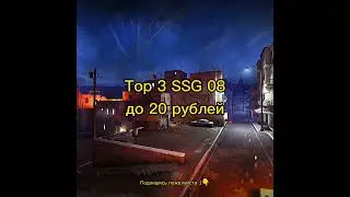 Top 3 SSG 08 до 20 рублей