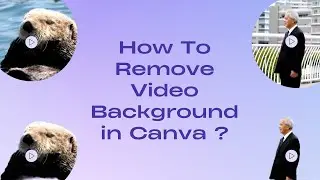 How to remove video background in canva and explore creativity ?