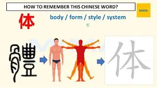 [43] Remember writing Chinese character by images #身体 #body #shenti #HSK1