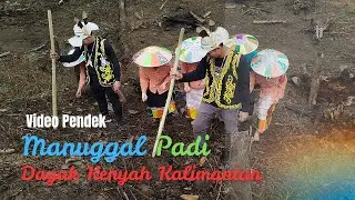 The Rice Planting Tradition of the Dayak Kenyah of Kalimantan (Short Video)