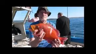 Kowie Deepsea Fishing Charters Port Alfred Eastern Cape South Africa
