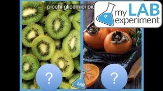 Quiz Glicemico - Sai indovinare quali cibi ti faranno salire la glicemia e quali no?