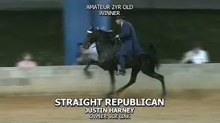 STRAIGHT REPUBLICAN - Walking For Cancer