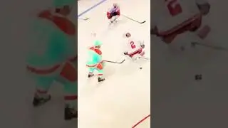 Hockey hit on A Nhl game