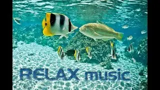 Sleep Meditation Music, Snoezelen Musik, Einschlafmusik