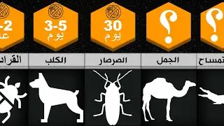 كم من الوقت يمكن للحيوانات البقاء بدون طعام؟ - حيوانات تستطيع البقاء بدون طعام لفترة طويلة