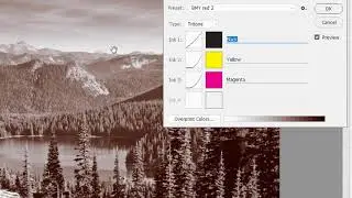 How to Use Duotone Mode in Photoshop