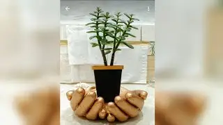 Ладоши, подставка для вазона или ключей