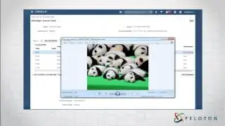 Oracle ERP Cloud: Account Monitor and Inspector