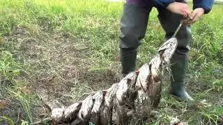 Сказочная рыбалка на севере.