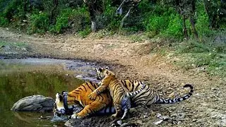 Pandavo ne agyatwas kha bitaya, Have you seen Pandupol? || पांडवों ने अज्ञातवास कहां और कैसे बिताया?