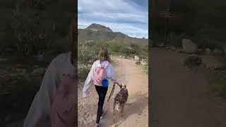 Rio Burrito. Taking a hike.