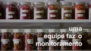 Institucional - Brazilian Pet Foods