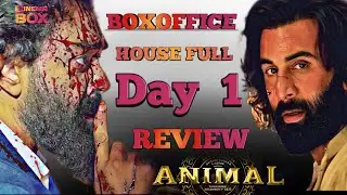 Animal Boxoffice collection First Day