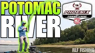 MLF BFL Potomac River Tournament Recap | Chatterbait & Swim Jig in Grass