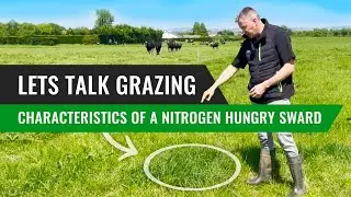 Characteristics of a Nitrogen Hungry Sward - Lets Talk Grazing