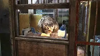 Сидорович уже не тот....