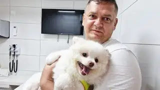 Закупка закончилась клиникой...