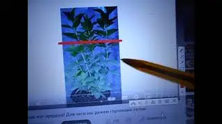 06. 06. 2023 г. Ложь "АГРОНОМА" из Краснодара.