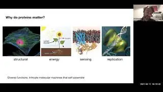 Colloquium: Predictive and generative artificial intelligence for biology