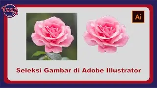 Cara Seleksi Gambar di Adobe Illustrator | Tutorial Adobe Illustrator