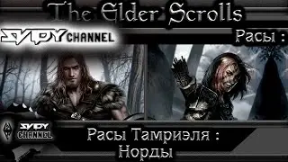 The Elder Scrolls|Расы Тамриэля: Норды(Лор)