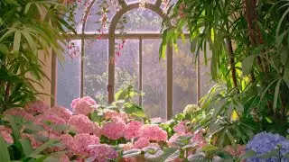 Puccini: Tosca / "Vissi d'arte, vissi d'amore"  -  BBC Concert