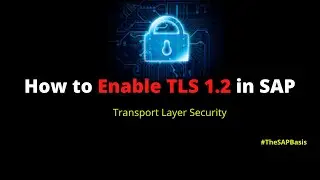 How to enable TLS 1.2 (Transport Layer Security) for SAP ABAP Based system. 