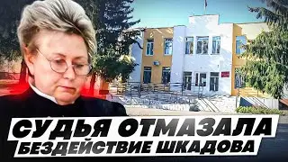 СУДЬЯ НЕ ПРИЗНАЛА БЕЗДЕЙСТВИЕ БЫВШЕГО ГЛАВ. ВРАЧА НЕЗАКОННЫМ//БЕССОНОВСКИЙ РАЙОННЫЙ СУД #суд #взятка