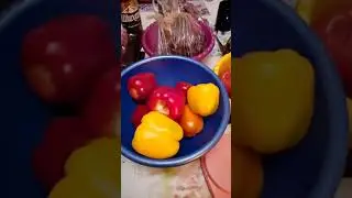 26 марта 2024 г.