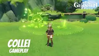Collei Gameplay | Elemental Skill and Burst | Genshin Impact