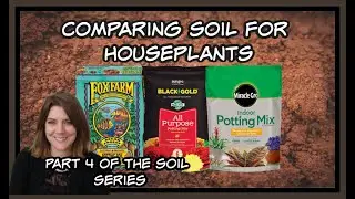 COMPARING HOUSEPLANT SOIL/INDOOR POTTING MIX: FOX FARMS/BLACK GOLD/MIRACLE GRO:  Part 4- Soil Series