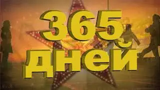 365 дней
