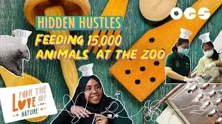 The Singapore Zoo's Very Own Five Star Restaurant For Animals 🐘🦁 | Hidden Hustles Ep 13