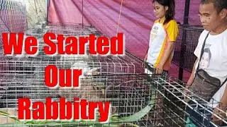 We started our Rabbitry | tito bern's Rabbitry