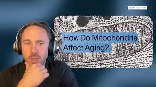 The Mitochondrial Optimization Framework: Analyzing the Latest Research on Diagnosis and Longevity