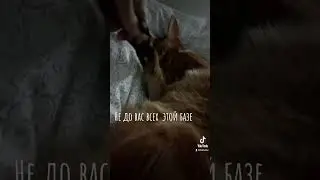 415 база, ответьте! 