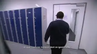 FR - Bioinformatique et modélisation moléculaire