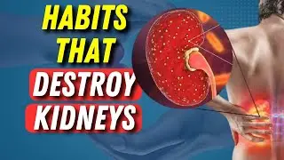10 Bad Daily Habits That Destroy Your Kidneys: How to Protect Your Kidney Health