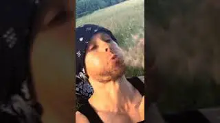 мой милый одуванчик