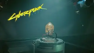 Cyberpunk 2077 Death Stranding Easter Egg