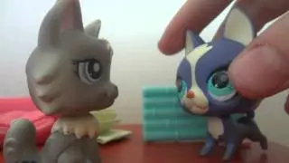 LPS:Agent or love 6 серия(Новая Кэтти)