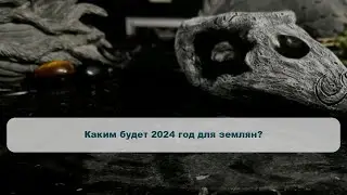 Каким будет 2024 год для землян?