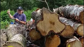 SOTA FL/N0-058, Bois Bryas.