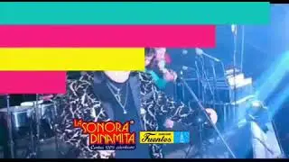 Así se viven los conciertos de la Original Sonora Dinamita