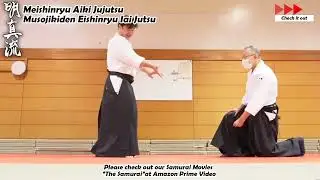 Meishinryu Aikido techniques 明真流　合気道の稽古 #aikido #合気道 #天照会 2025 0221 02