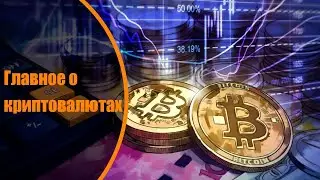 Главное о криптовалютах