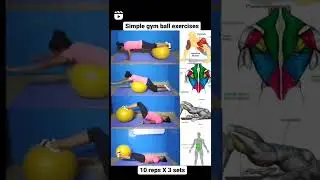 Simple gym ball exercises. 