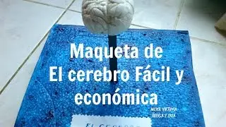 Maqueta de El cerebro fácil, rápida y económica con material reciclado