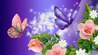 موزیک بیکلام آرامبخش برای خواب | مطالعه | مدیتیشن و مراقبه